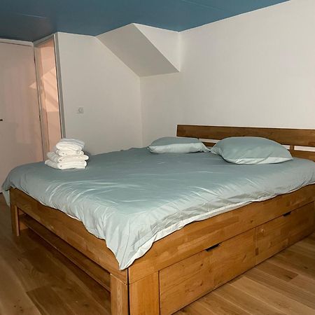 Apparemment Choucas Apartment Bagneres-de-Bigorre Bagian luar foto